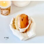 فرشاة جسم T312