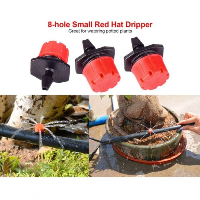 ⁦تفتاف⁩ - الصورة ⁦10⁩