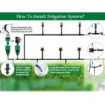 ⁦تفتاف⁩ - الصورة ⁦11⁩