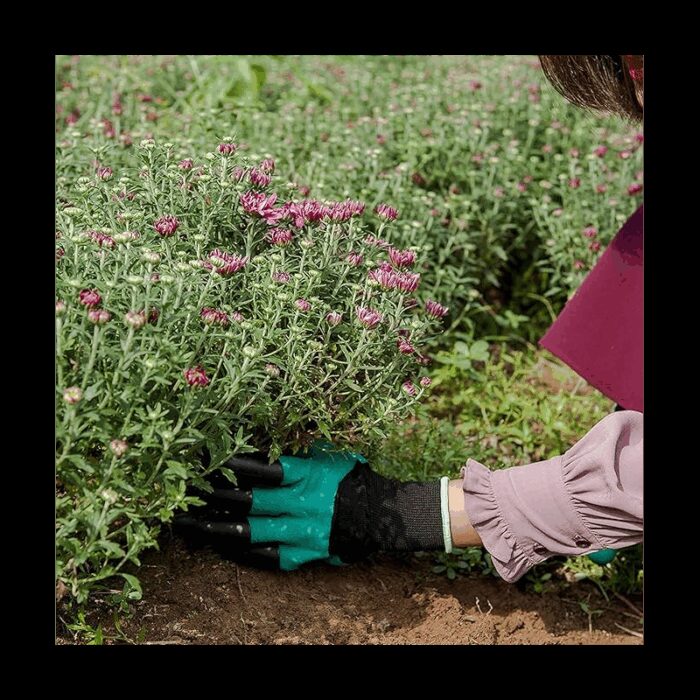 ⁦كفوف زراعة⁩ - الصورة ⁦3⁩