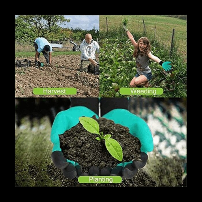 ⁦كفوف زراعة⁩ - الصورة ⁦5⁩