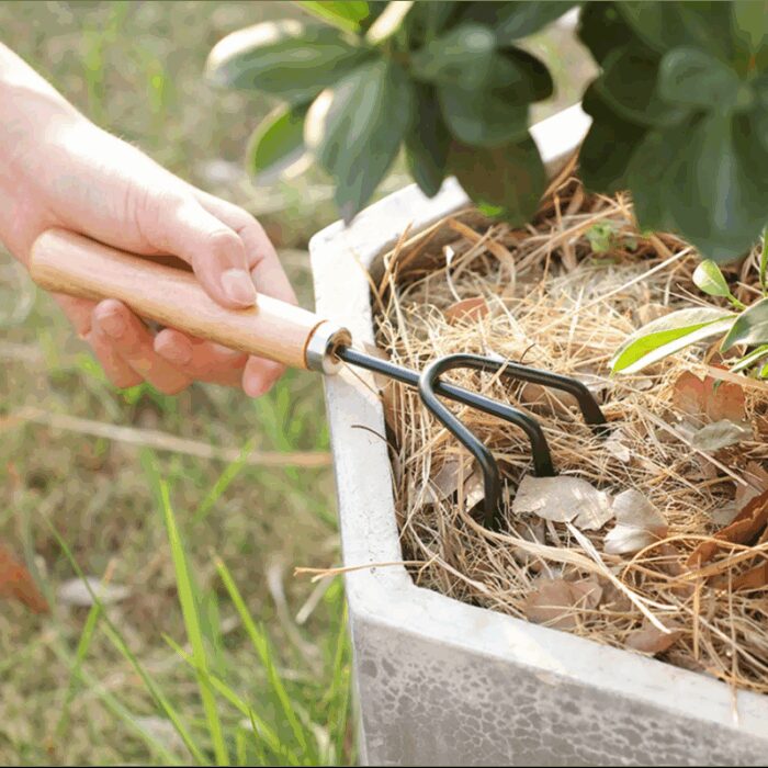 ⁦طقم زراعة 3 قطع⁩ - الصورة ⁦4⁩