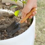 ⁦طقم زراعة 3 قطع⁩ - الصورة ⁦5⁩