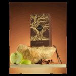 ⁦Prodigy EDP by FA Paris Corner For Unisex 100ml⁩ - الصورة ⁦3⁩