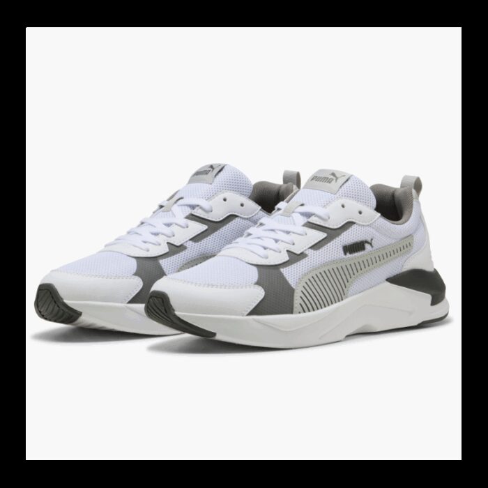 ⁦X-RAY 3 LT⁩ - الصورة ⁦3⁩