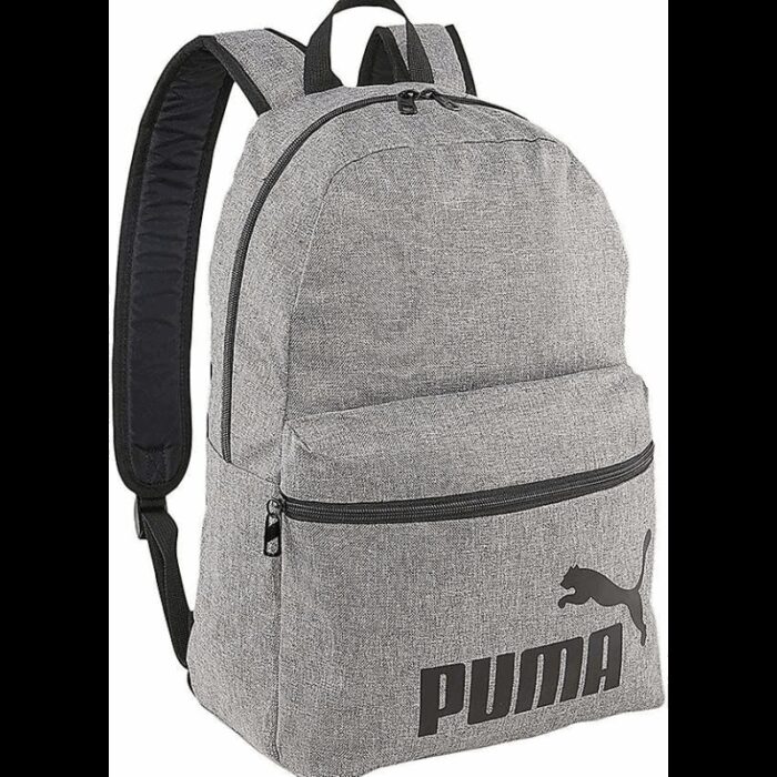 103388388_68a376fdd2afd PHASE BACKPACK III - الصورة 1