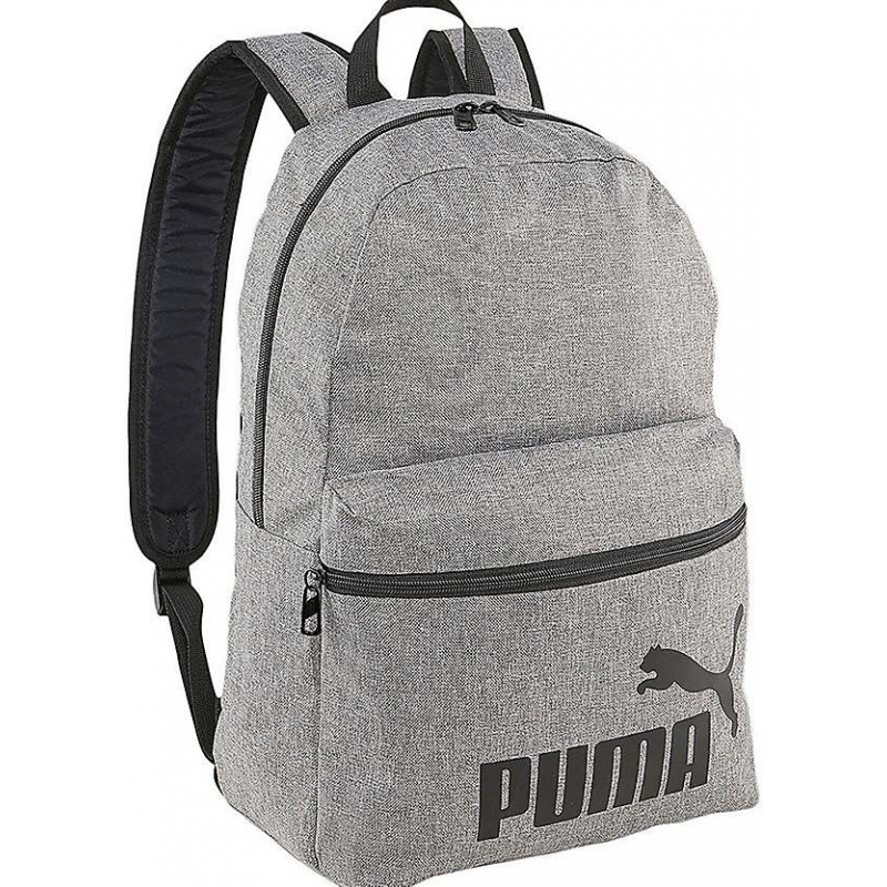 103388388_68a376fdd2afd PHASE BACKPACK III - الصورة 1