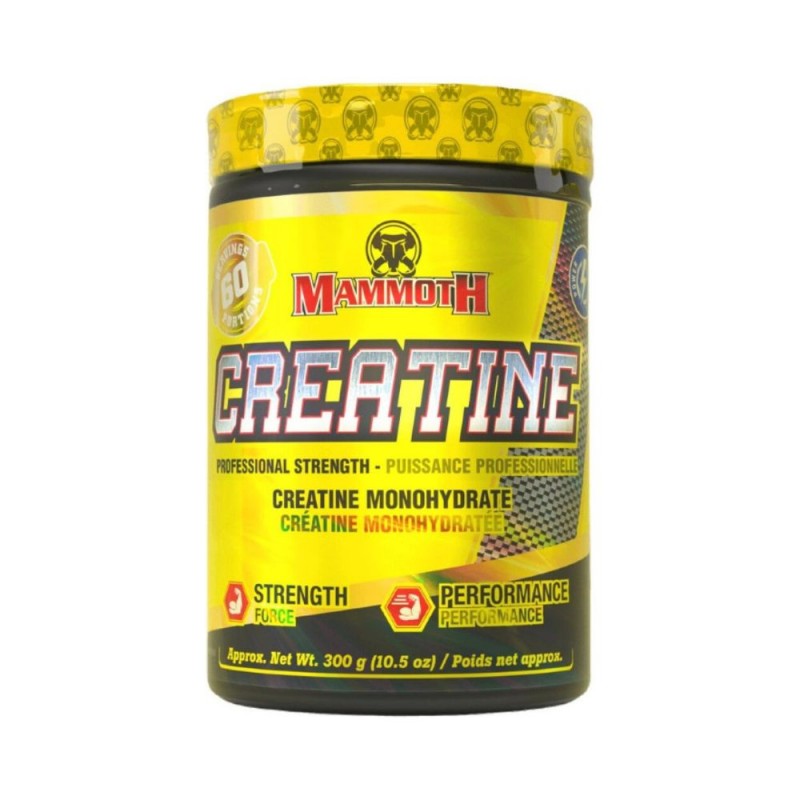 103391152_68d5ac6c11019 Mammoth Creatine 100% Creatine Monohydrate 300g - الصورة 1
