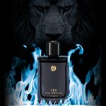 ⁦Yes I Am The King Le Parfum By Geparlys Parfums for Mens 100 ML - عطر يس ايم ذا كينج من جيبرليز للرجال سعة 100 مل⁩ - الصورة ⁦4⁩