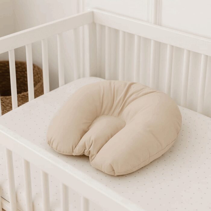 103384243_68e2de52eaae0 مخدة تدوير الرأس بيج - الصورة 1