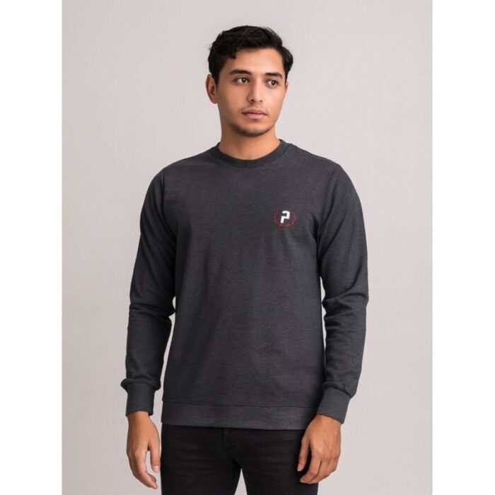 103391404_68e2e5351909a بلوزة بأكمام طويلة للرجال لون رمادي - الصورة 1