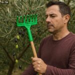 يد قطف الزيتون بلاستيك لون أخضر