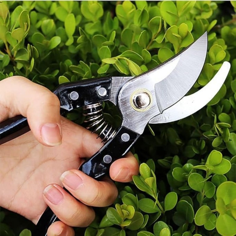 ⁦مقص شجر⁩ - الصورة ⁦1⁩