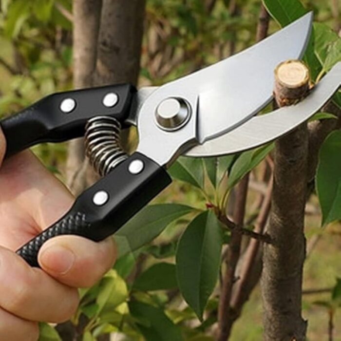 ⁦مقص شجر⁩ - الصورة ⁦4⁩