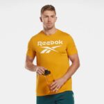 ⁦Reebok Identity Big Logo T-Shirt⁩ - الصورة ⁦3⁩