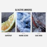 ⁦Invictus EDT By Paco Rabanne For Men 100ml-عطر انفكتوس او دي تواليت من باكو رابان للرجال سعة 100 مل⁩ - الصورة ⁦7⁩