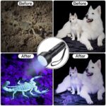 ⁦كشاف يدوي بالأشعة فوق البنفسجية (51 لمبة) يعمل بالبطارية، مثالي لفحص النقود والكشف عن البقع وآثار الحيوانات الأليفة غير المرئية.⁩ - الصورة ⁦2⁩