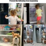 ⁦قفل ثلاجة⁩ - الصورة ⁦14⁩