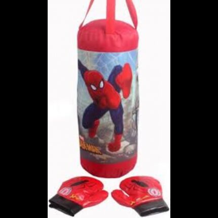 كيس ملاكمة مع قفازات