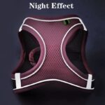 ⁦حزام للقطط والكلاب الأليفة قابل للتعديل مصنوع من قماش ناعم مريح مزود بشرائط عاكسة للاستخدام الآمن والمريح في الخارج مقاس Medium⁩ - الصورة ⁦6⁩