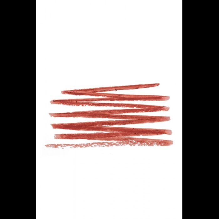 ⁦قلم تحديد الشفاه Stylematic Mat SL21 BTTR CHOCOLATE من فلورمار⁩ - الصورة ⁦3⁩