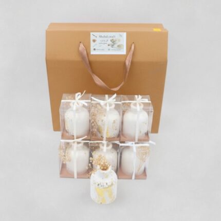 بكج توزيعات عدد 10