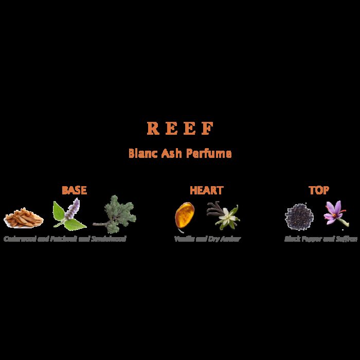 ⁦Reef Blanc Ash EDP For Unisex 150ml ريف بلانك اش⁩ - الصورة ⁦3⁩