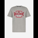 ⁦Reebok Mens' Graphic Series Tradition T-Shirt - Silver⁩ - الصورة ⁦6⁩