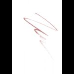 ⁦قلم تحديد الشفاه فلورمار ستايل ماتيك – 11 كوكونيود flormar⁩ - الصورة ⁦2⁩